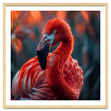 Vibrant Flamingo Close Up Portrait Outdoor Nature thumbnail