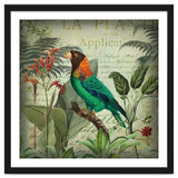 Tropical Bird Nostalgia thumbnail