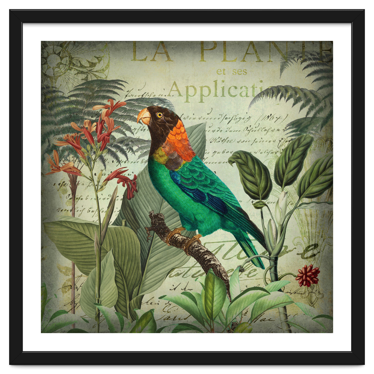 Tropical Bird Nostalgia