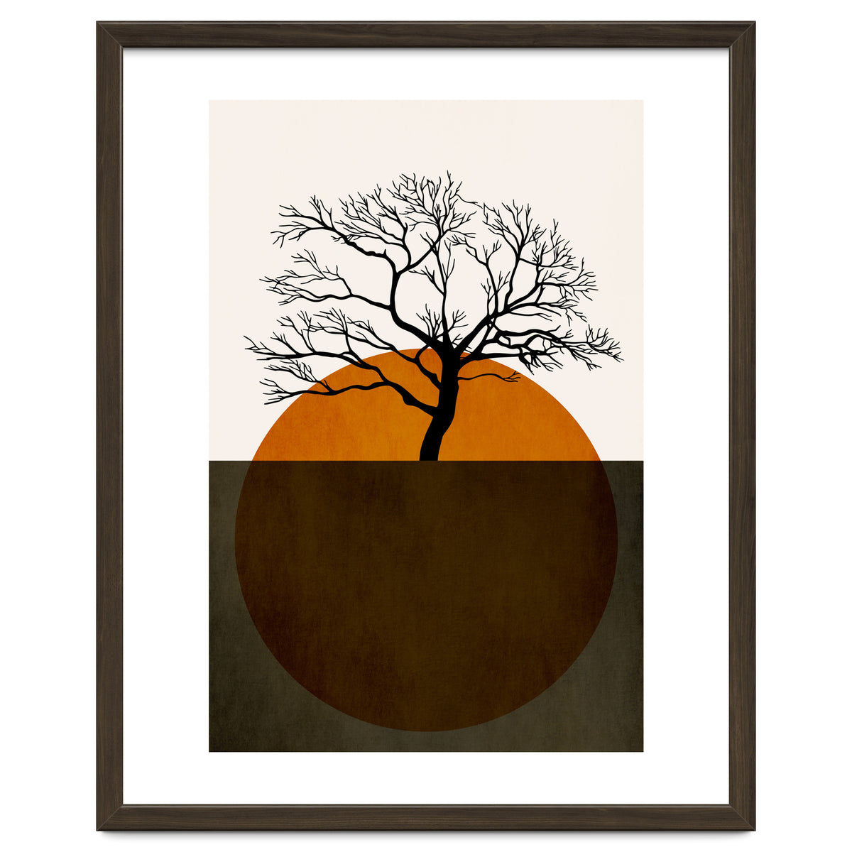 Sunny Days Of Silence