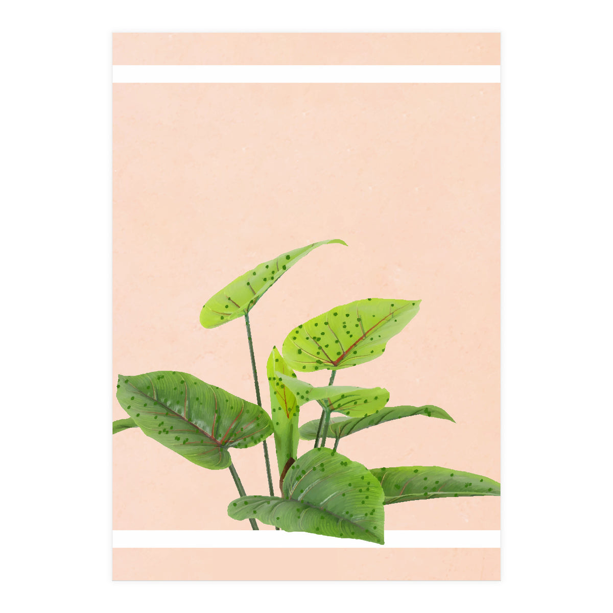 Botanical Art (Print Only)