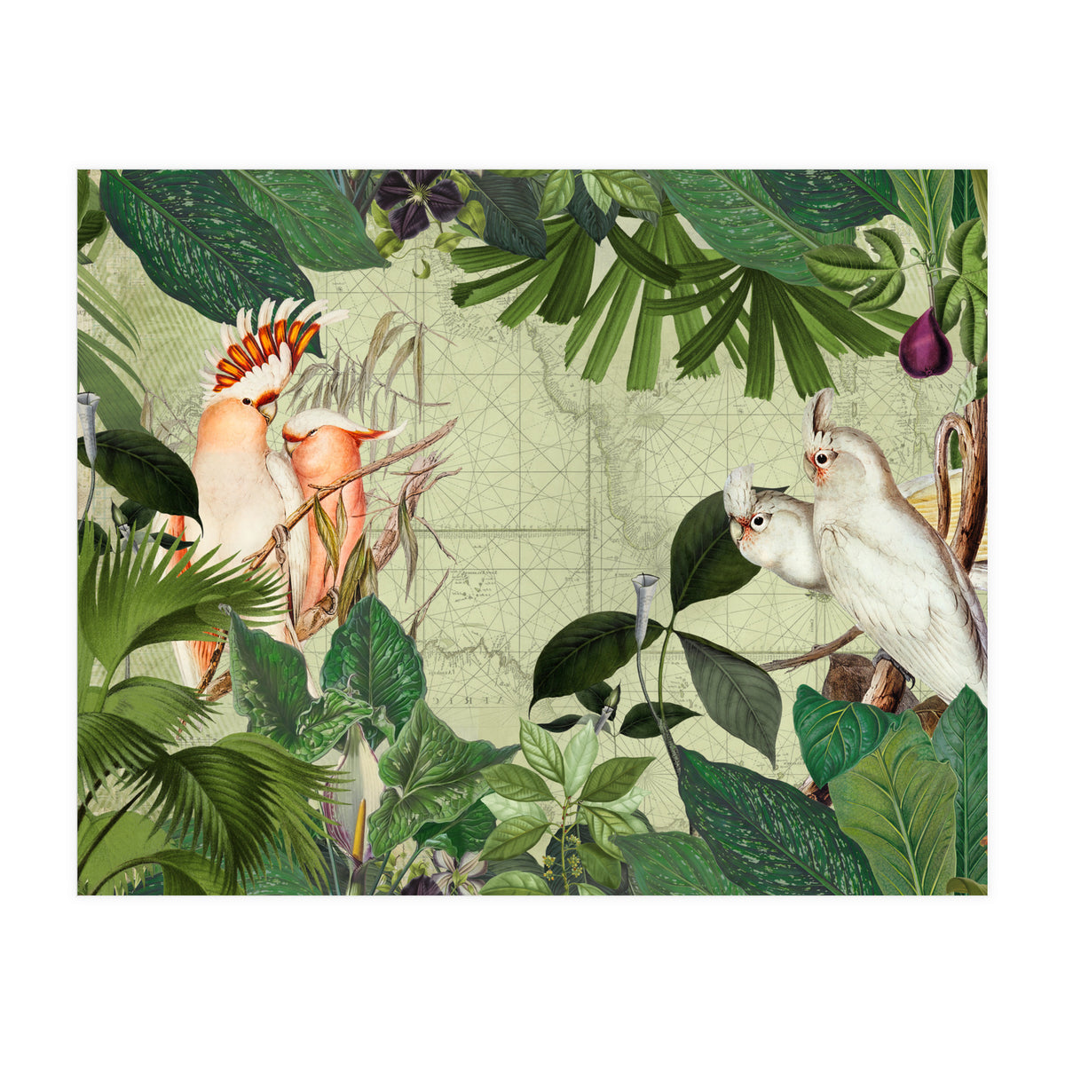 Cockatoo Island Green (Print Only)