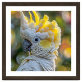 Yellow Crested Cockatoo Bird Close Up Portrait thumbnail