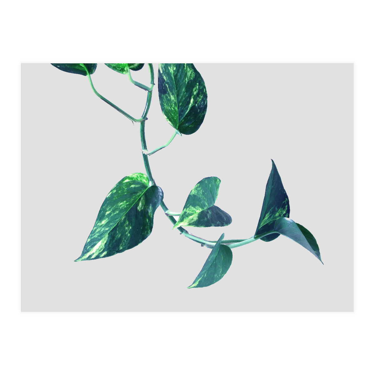 Projection & Emotion (Print Only)