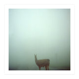 Silence of breath - 04 (Print Only) thumbnail