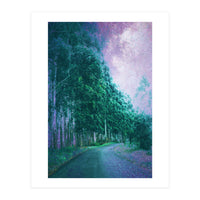 Magical Path (Print Only)