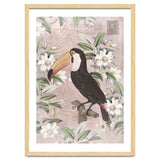 Exotic Bird Toucan thumbnail