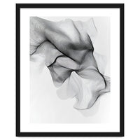 Abstract Black And White Flowing Lines Forming Organic Shapes And Forms