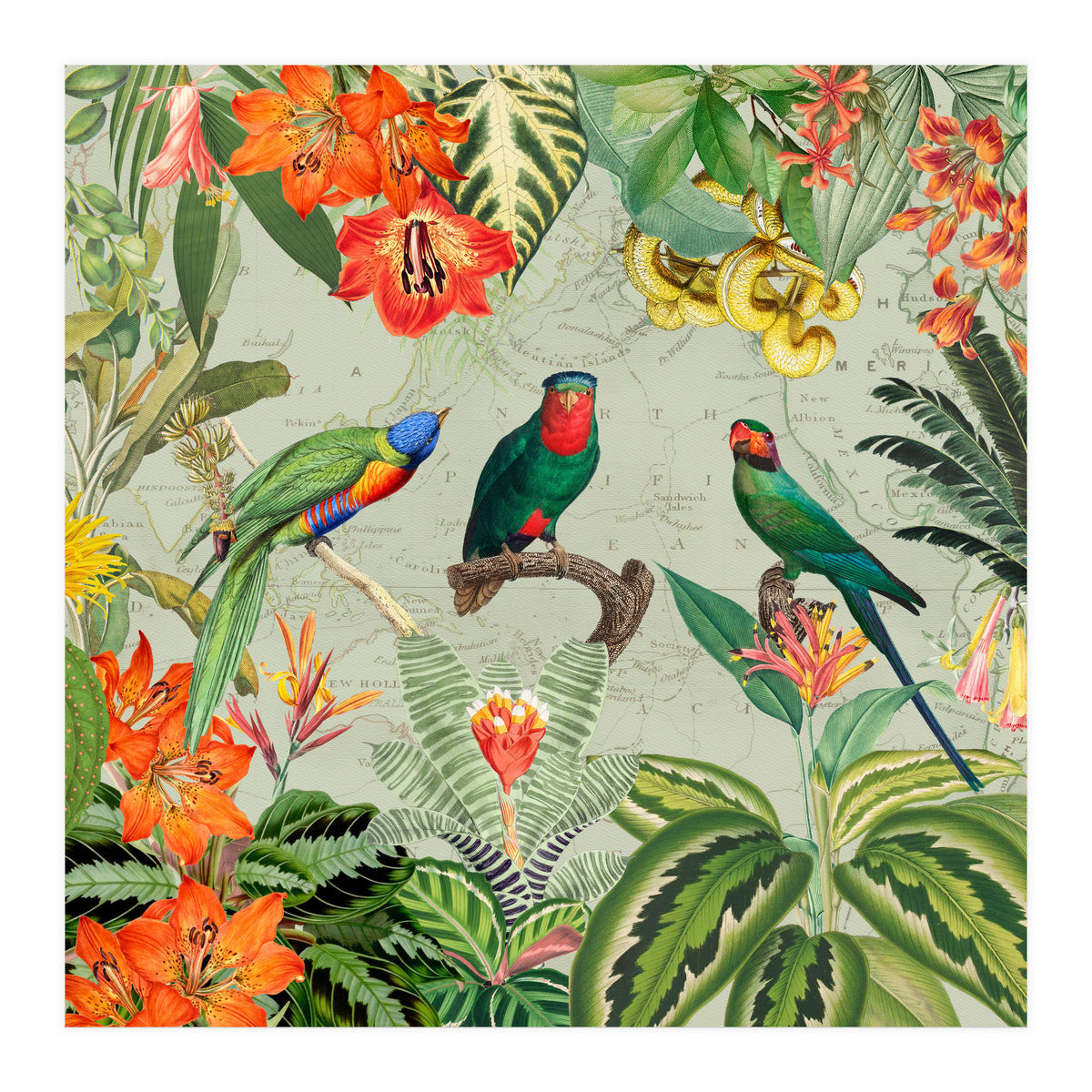 Exotic Parrots Jungle Landscape (Print Only)