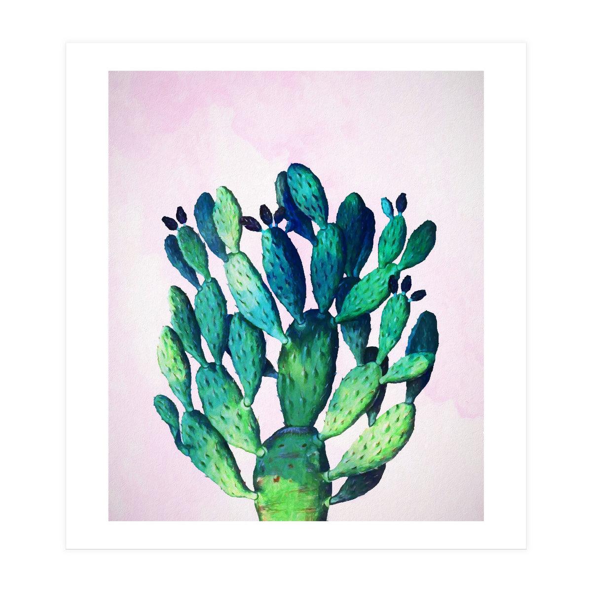 Cactus Three Ways (Print Only)