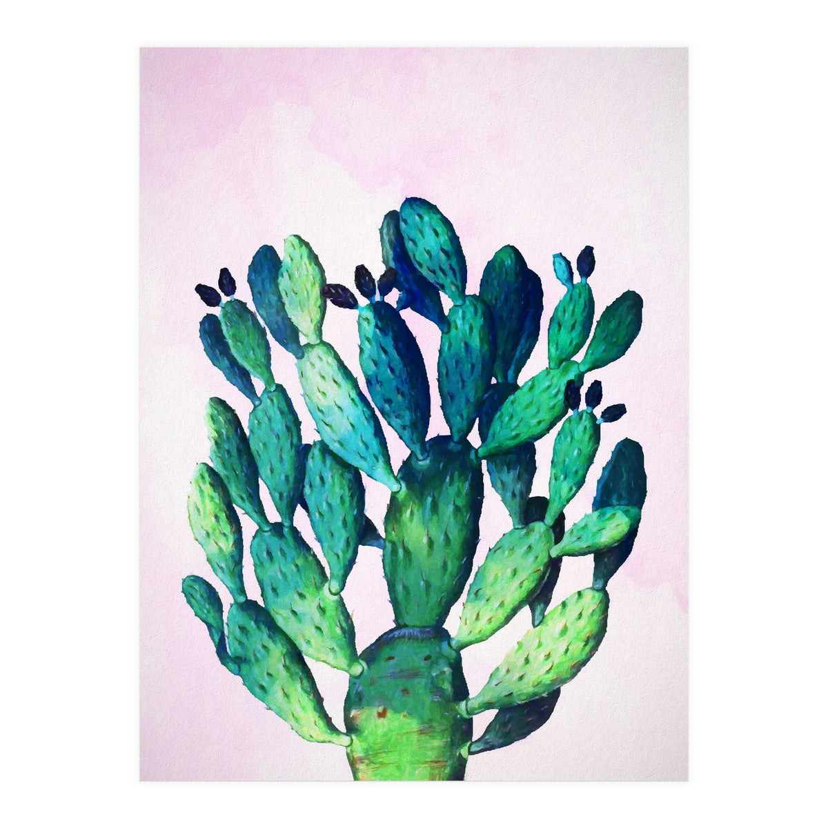 Cactus Three Ways (Print Only)