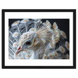 Close Up Albino Peacock Bird Portrait thumbnail