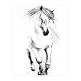 Runninh Ghorse In Water (Print Only) thumbnail