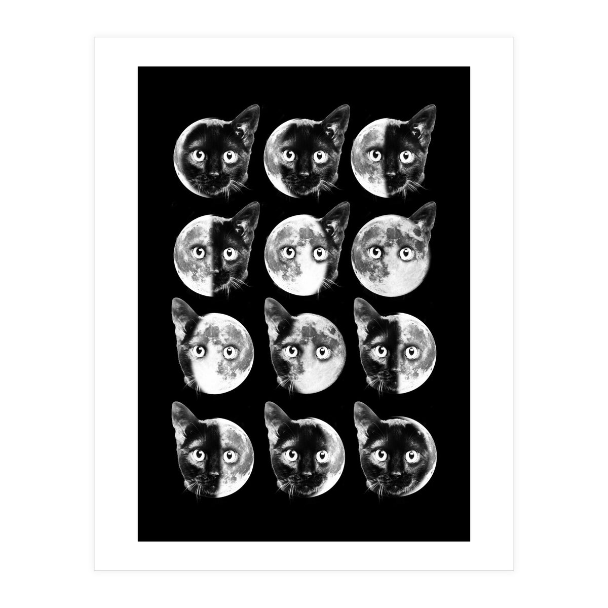 Cat Moon Phases (Print Only)
