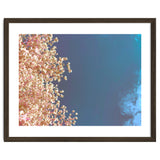 Leaves And Sky thumbnail