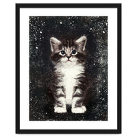Bicolor Cute Kitten Portrait