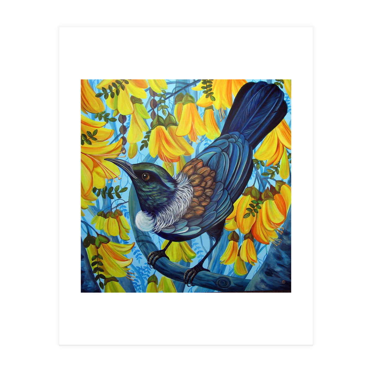 Kowhai (Print Only)