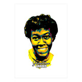 Gwendolyn Brooks American Poet Legend (Print Only) thumbnail