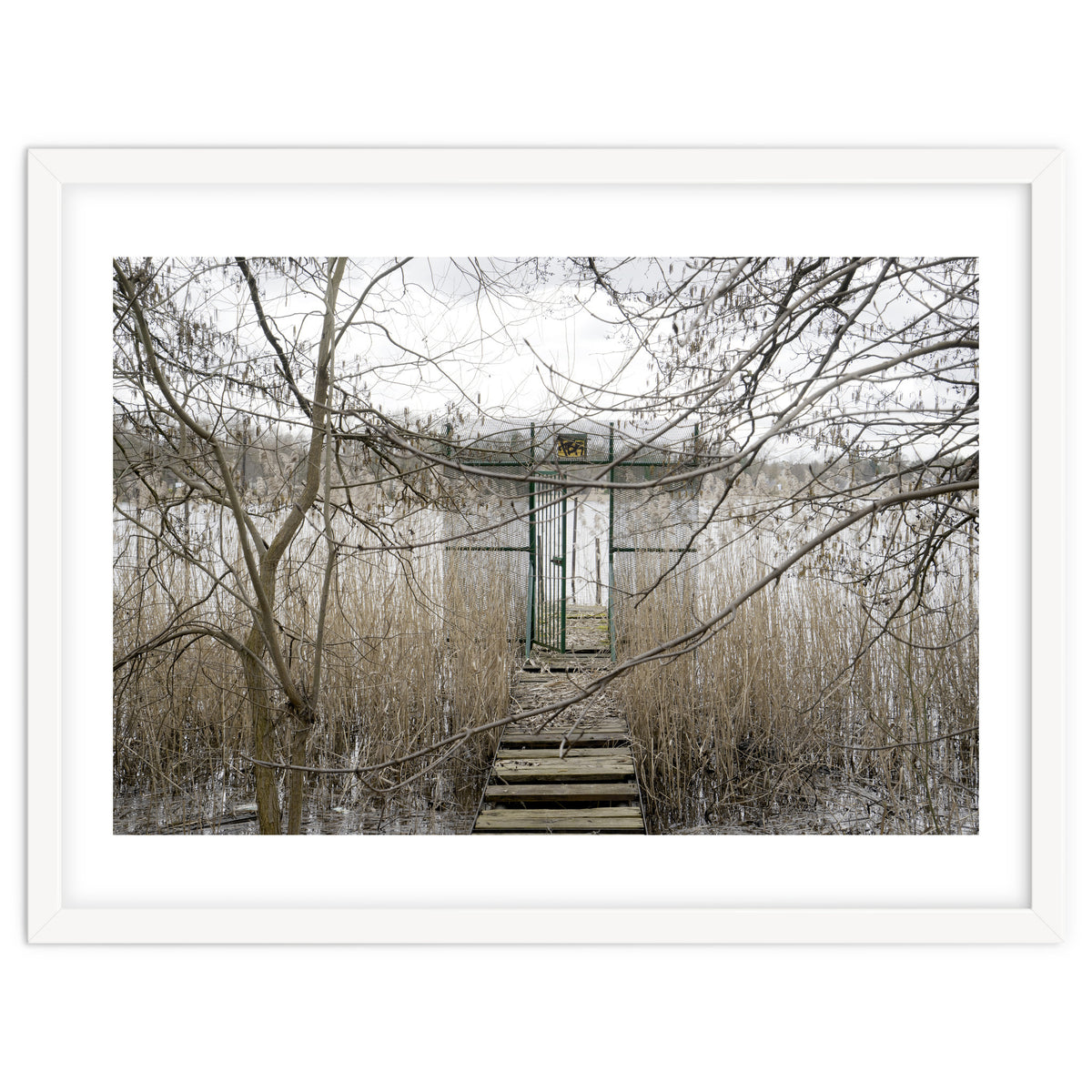 The gate to the lake