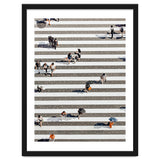 Rain Crossing | Polka Dots Zebra Crossing On The Street | Rain Eclectic Modern Graphic Design thumbnail
