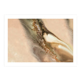 Coastal Dunes (Print Only) thumbnail