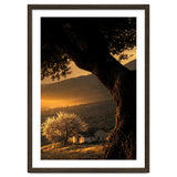 The Hill thumbnail