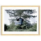 Blue hut on the tree thumbnail