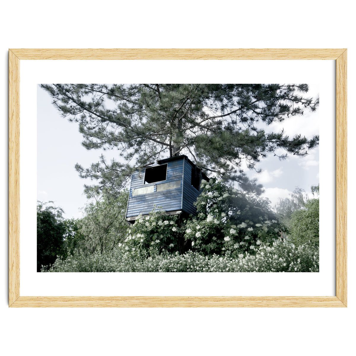 Blue hut on the tree