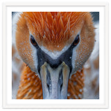 Close Up Of A Pelican's Beak With Water Droplets thumbnail