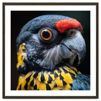 Close-up Portrait of a Vibrant Parrot