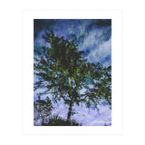 Skyfall (Print Only) thumbnail