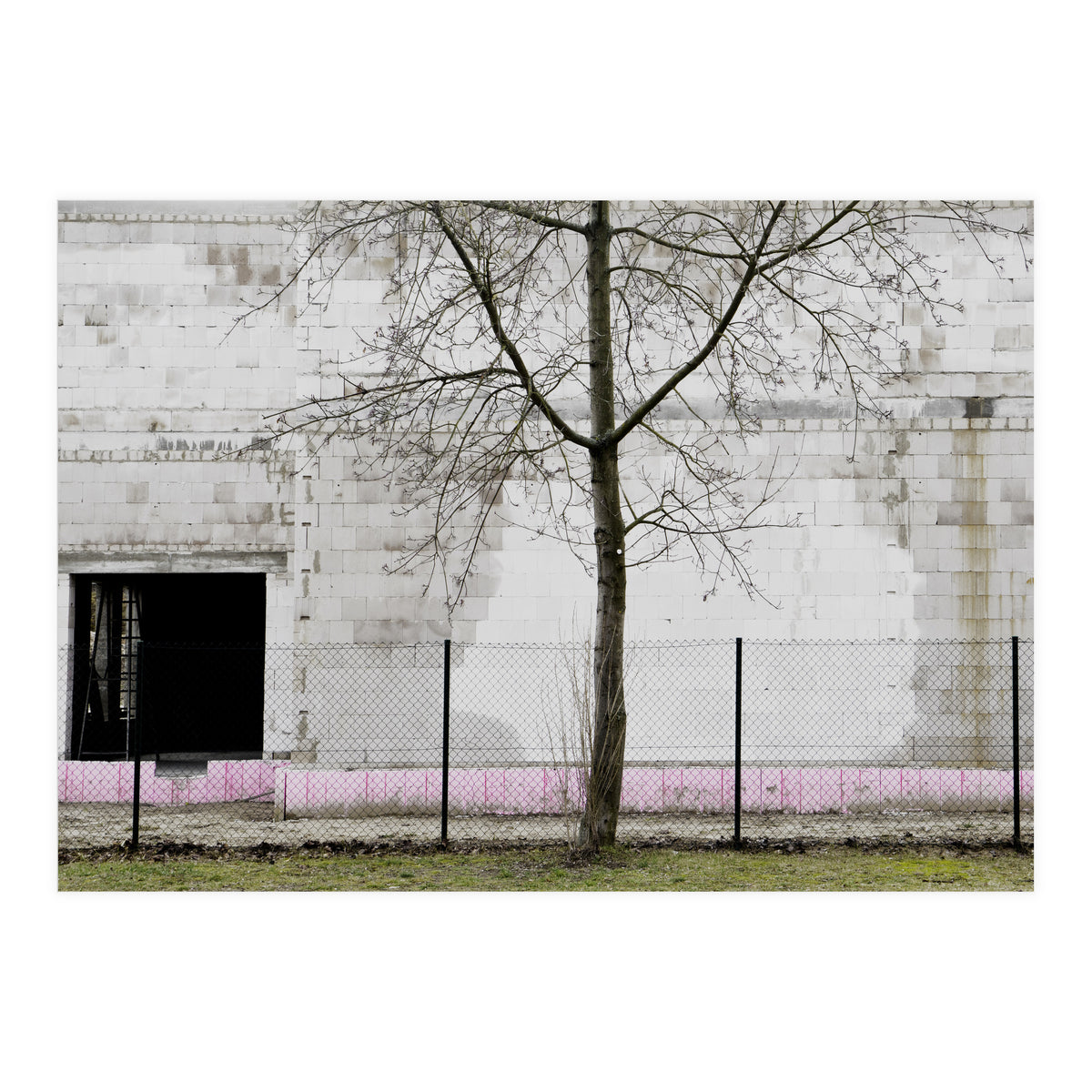 A tree in front of the wall (Print Only)