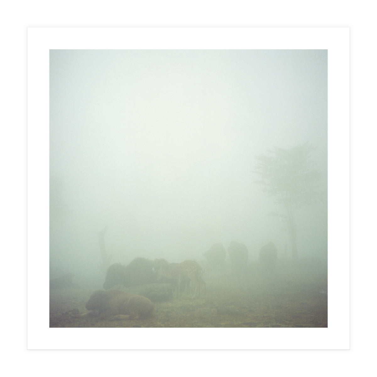 Silence of breath - 03 (Print Only)