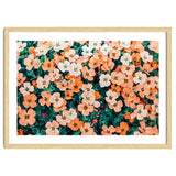 Floral Bliss, Nature Photography Garden Meadow, Blush Orange Coral Summer Flowers Botanical thumbnail