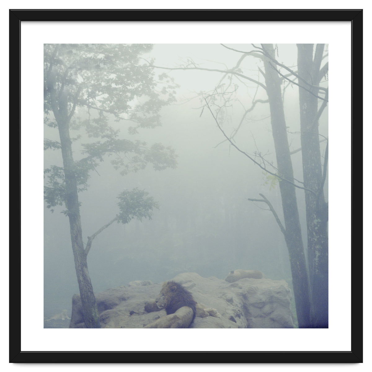 Silence of breath - 02