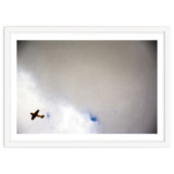 The Little Prince thumbnail