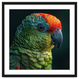 Close Up Colorful Parrot Bird Feather thumbnail