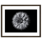 Backyard Flowers In Black And White No 10 Flow Version thumbnail