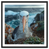 Black Browed Albatross Perched On Nest Near Ocean thumbnail