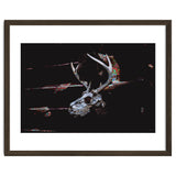Deer Skull thumbnail