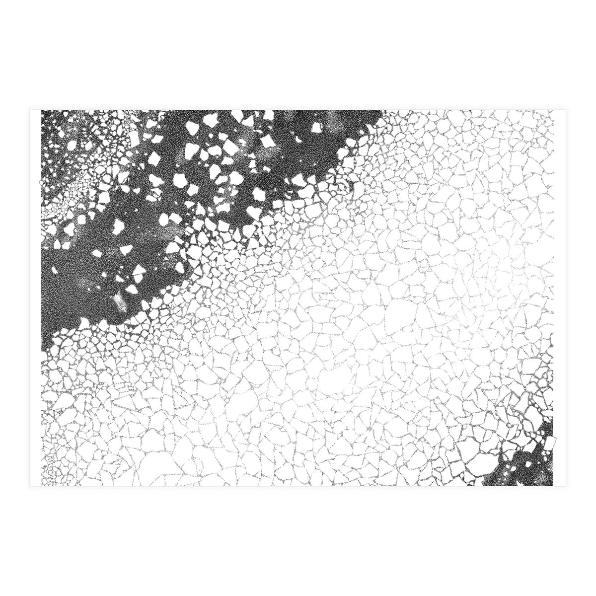 80 Degrees North (Print Only)