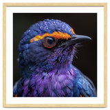 Close Up Portrait Of A Vibrant Exotic Bird thumbnail