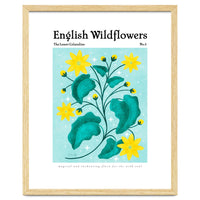 English Wildflowers | Lesser Celandine