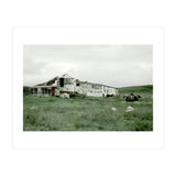 Sheep with a farmhouse - Iceland  (Print Only) thumbnail