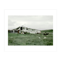 Sheep with a farmhouse - Iceland  (Print Only)