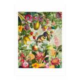 Toucan vintage jungle  (Print Only) thumbnail