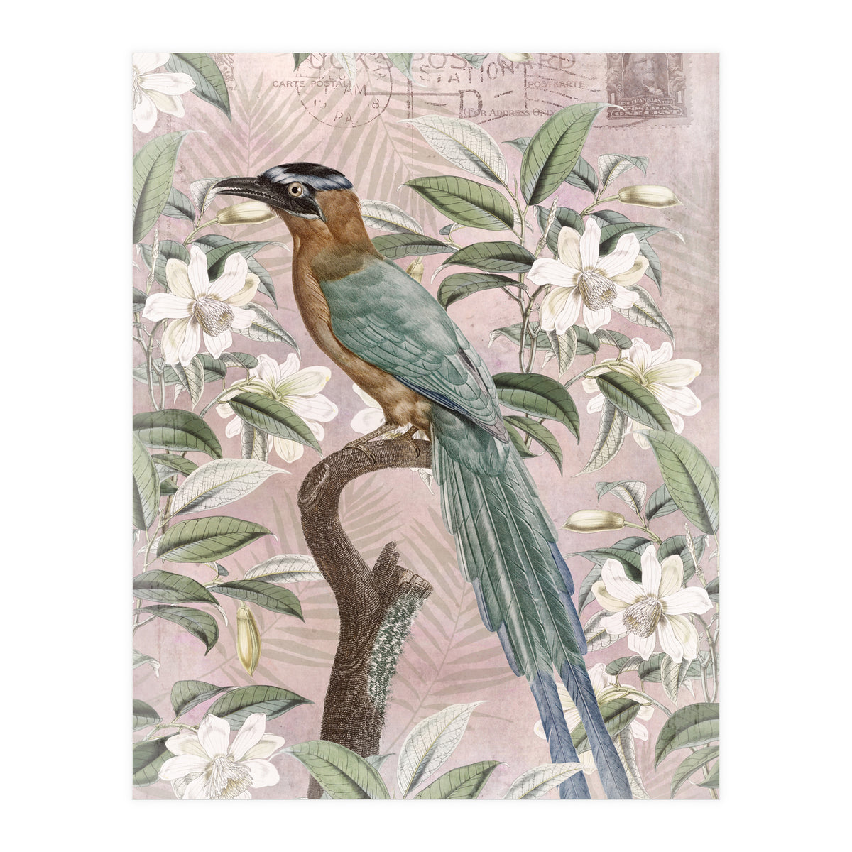 Exotic Bird (Print Only)