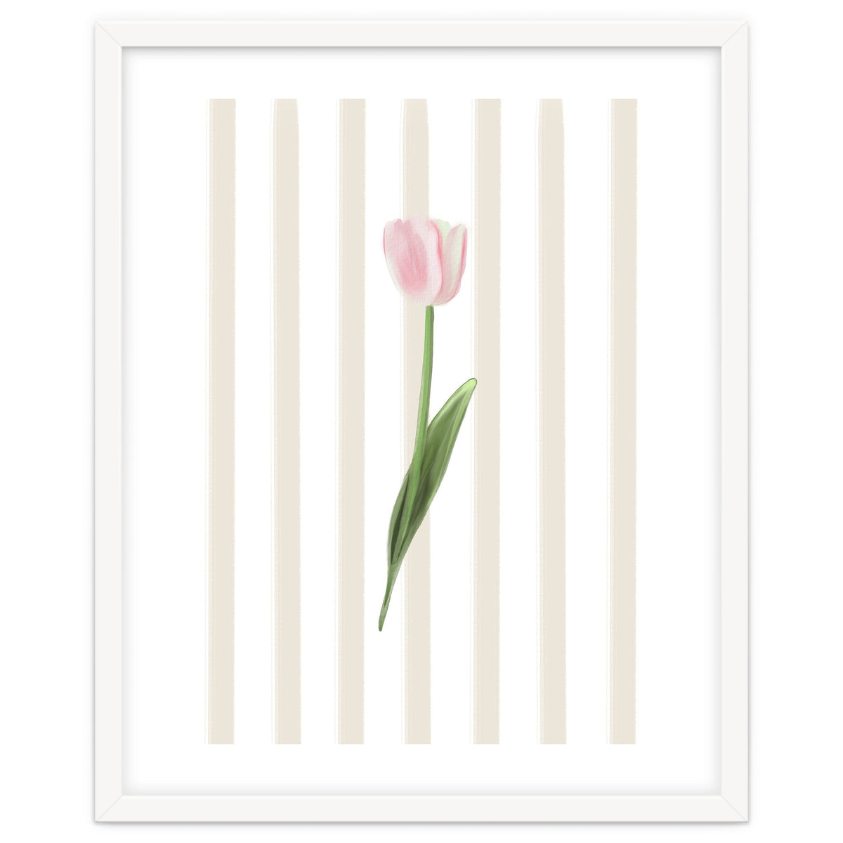 Single Tulip