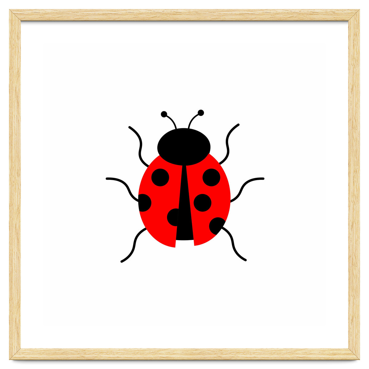 Lady Bug