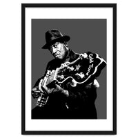 Taj Mahal American Blues Musician Legend